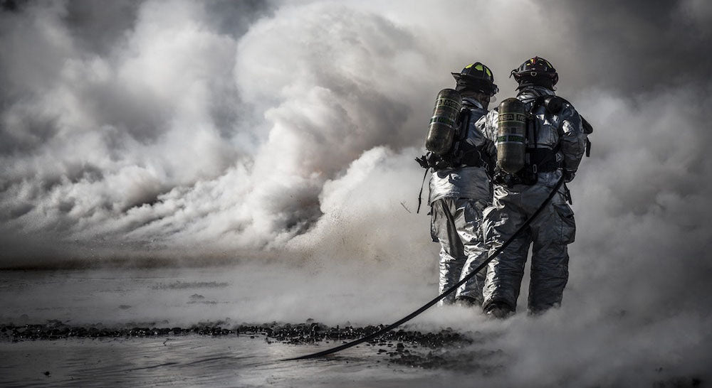 The Aftermath and What We Can Learn from the Australian Bushfires